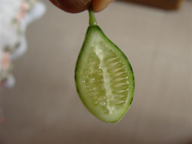  Fruit V.S.